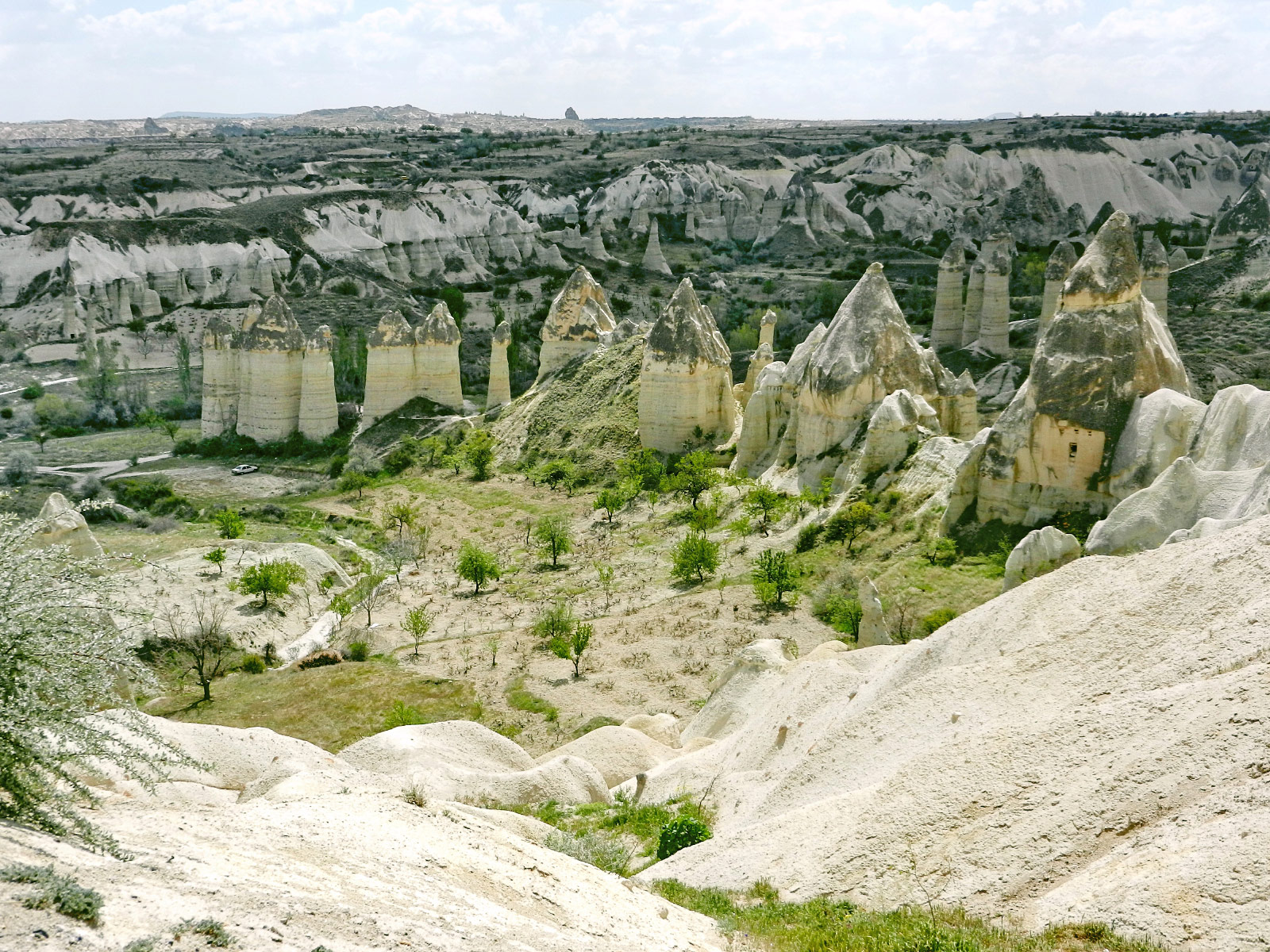 Cavusin